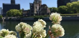 How humans are driving plant evolution