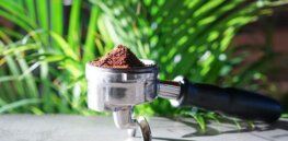 Viewpoint: No, coffee is not ‘steeped in pesticides’ or filled with bugs and mold