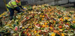 Regenerative agriculture: How a Canadian farm repurposes food waste to combat climate change