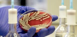 Threat from drug resistant ‘superbugs’ is growing