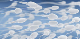 Trouble getting pregnant: AI is the energizer bunny way to supercharge sperm 