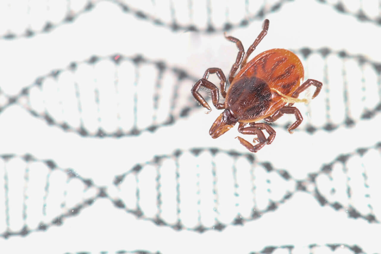 GLP podcast: Spread meat allergy with gene-edited ticks? Bioethicists pose vile ‘thought experiment’ GLP podcast: Spread meat allergy with gene-edited ticks? Bioethicists pose vile ‘thought experiment’
