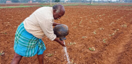 Viewpoint: Food activists lobbied for an organic-only, no synthetic pesticide model in Sri Lanka. Here’s why it went so catastrophically wrong