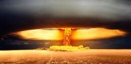 Post nuclear disaster: What species might dominate the world if humans went extinct?