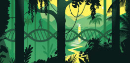 How global disagreements over DNA data might undermine preserving genetic diversity of animals and plants