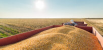 How sustainable is North American soybean production?