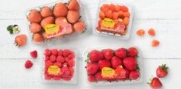 How gene editing can tailor crops to consumer preferences
