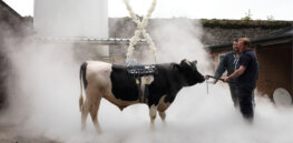 Viewpoint: What are the most serious hurdles blocking mass adoption of gene editing in agriculture?
