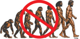 Do you believe in human evolution? Rejectionism linked to racism and anti-LGBTQ attitudes