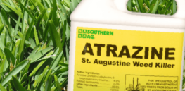 Viewpoint: If the EPA sharply curtails herbicide atrazine, what are the environmental and economic trade-off?