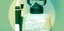 Viewpoint: Let’s take a hard look at ‘popular wisdom’ that glyphosate poses health dangers