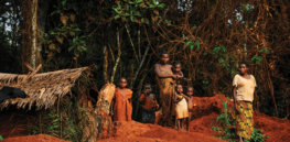 How the search for mates across prehistoric Africa shaped human evolution