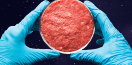 Growing cell-based meat in space? If humans travel intergallactic distances or colonize planets, this is how we might feed ourselves