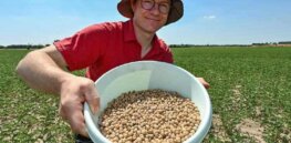 Ukraine crisis prompts anti-GMO German farmers to consider embracing CRISPR gene edited crops