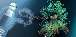 GMO microbes that eat pollution? How biotechnology can sustainably cleanse our water