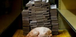 Higher prices for meat, milk and eggs? Increased greenhouse gas emissions? Study documents sustainability drawbacks of non-GMO animal feed