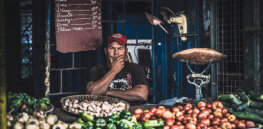 Less pesticides and more food? Pioneering Cuban biologist believes merging agroecology with genetic engineering could protect the environment and feed growing population