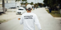 Oxitec expanding GMO mosquito trials in bid to control the spread of malaria