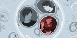 Embryo screening PGT-A tests may falsely identify healthy embryos as abnormal
