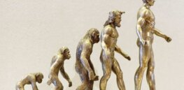 Is evolution fact? Embrace of science closely linked to childhood education standards
