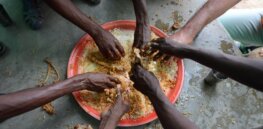 Study: How do we reach ‘food security? Biotechnology is key