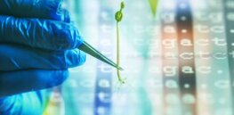 ‘Gene edited crops are necessary to sustainably feed the world’ — German agroecology and organic advocate challenges his own community