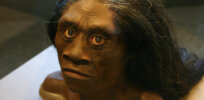 Homo floresiensis mystery: Could this ancient hominid species still be alive?