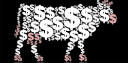 Academic study: EU’s Farm-to-Fork would lead to higher prices and lower production
