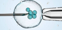 Ethics moves to the forefront as demand grows for preimplantation testing of human embryos