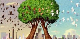 Battling climate change with carbon-sucking poplar trees