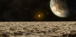 What is life like on other planets? Microorganisms provide possible clues