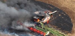 Viewpoint: ‘What was already problematic before the war in Ukraine has become catastrophic’—Europe’s Farm-to-Fork agriculture policy would exacerbate global food crisis