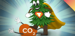 Saving forests: How genetic engineering can play key role