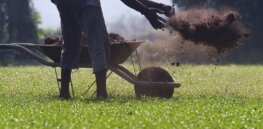 'It will be hard to find a farmer left': Sri Lanka’s organic-only experiment collapses harvest and economy