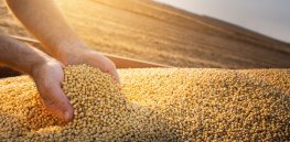 ‘If tomorrow there were no transgenic crops, a third of humanity would starve to death’: Leading Cuban scientist outlines support for genetically modified crops