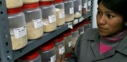 Viewpoint: ‘Bolivia cannot continue imposing straitjackets on itself by embracing retrograde ideological visions’ — Renewed plea to embrace GMO technology
