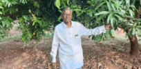 ‘Expecting farmers to do cultivation as it was done 100 years back is not something we want’: Why organic farming in India is falling far short of hyped promises