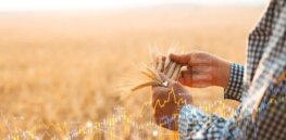 Viewpoint: ‘Organic farming folly’ — Bjorn Lomborg says Ukraine war has exposed Europe’s ‘self-indulgent obsession’ with low-yield, unsustainable farming