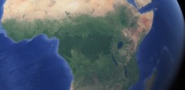Viewpoint: ‘Africa needs to network and share crop biotechnology advances’
