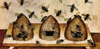 With the US honeybee population stable, what are the challenges going forward?