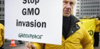 Viewpoint: Will Europe botch its new opportunity to join crop gene editing revolution?