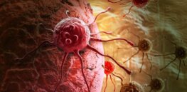A single mutation in one human gene contributes to why humans are so cancer-prone. What was the evolutionary trade-off?