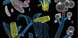 Four ways that GMOs can save lives