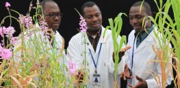 Crop gene editing and ‘sustainable intensification’ critical if Africa hopes to address climate change dislocations