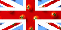 No plans for UK to label gene edited foods once agricultural biotechnology reform legislation passes