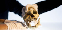 We know Homo sapiens were not the first humans. Who were?