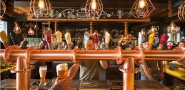 World’s first GM lager: Could beer made from genetically modified wheat usher in a new era of GMO crop acceptance?