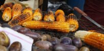 Nigeria begins national trials for GM maize