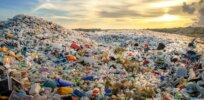 Solving pollution problem? AI-designed enzyme devours plastic at industrial scale