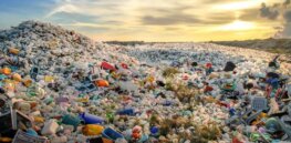 Solving pollution problem? AI-designed enzyme devours plastic at industrial scale